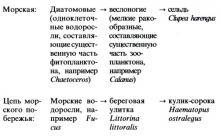 Консументы 1234 порядка. Консументы. Понятия ноосферы и техносферы Консументы 1234 порядка. Консументы. Понятия ноосферы и техносферы